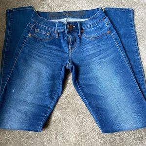 Express Denim Jeans